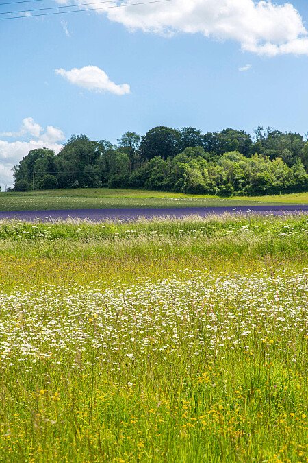 Lower Austin Lodge Farm exteriors22