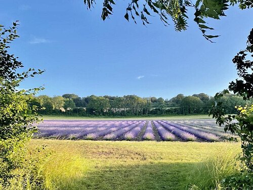 Lower Austin Lodge Farm exteriors26