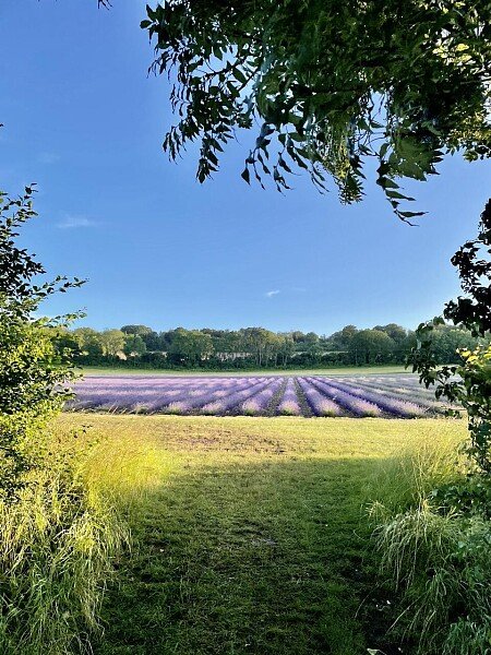 Lower Austin Lodge Farm exteriors26