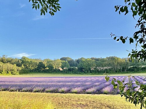 Lower Austin Lodge Farm exteriors15