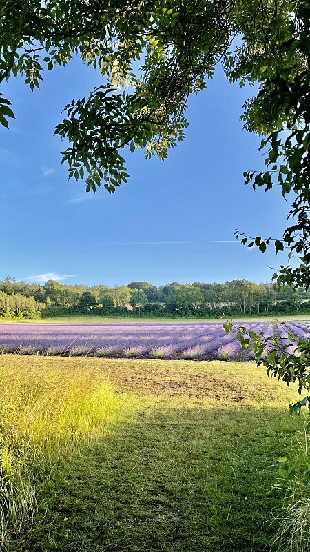 Lower Austin Lodge Farm exteriors15