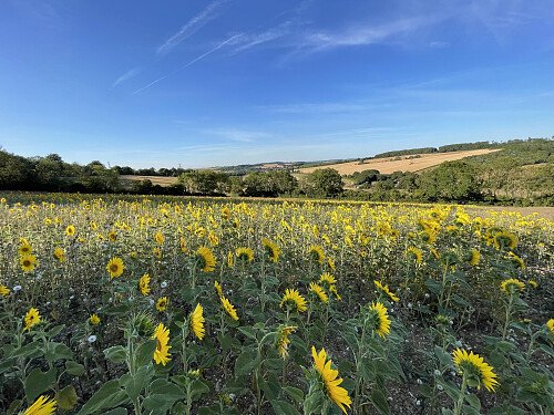 Lower Austin Lodge Farm exteriors12