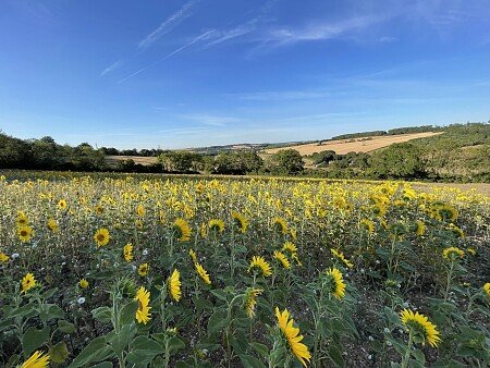 Lower Austin Lodge Farm exteriors12