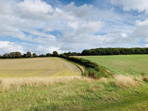 Lower Austin Lodge Farm exteriors3