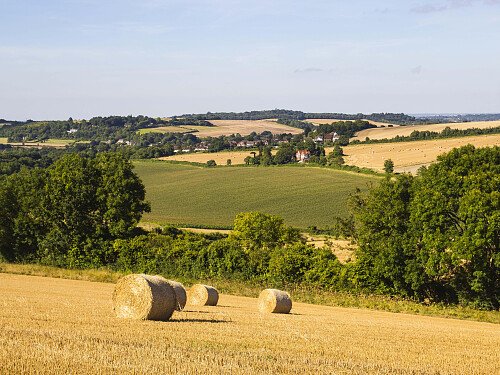 Lower Austin Lodge Farm exteriors34