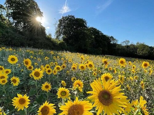Lower Austin Lodge Farm exteriors30
