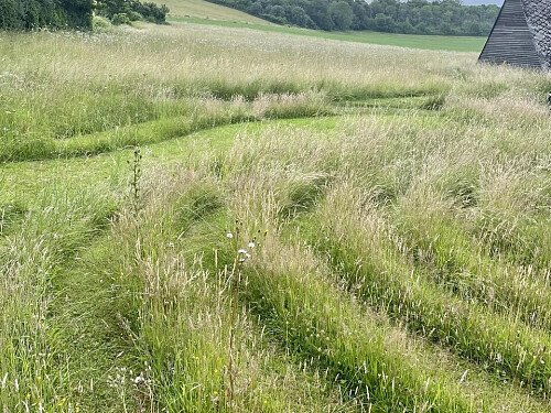 Lower Austin Lodge Farm exteriors28
