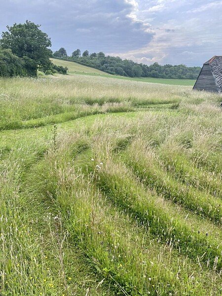 Lower Austin Lodge Farm exteriors28