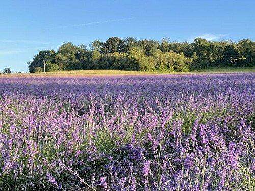 Lower Austin Lodge Farm exteriors27