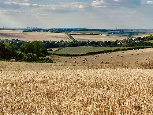 Lower Austin Lodge Farm exteriors31