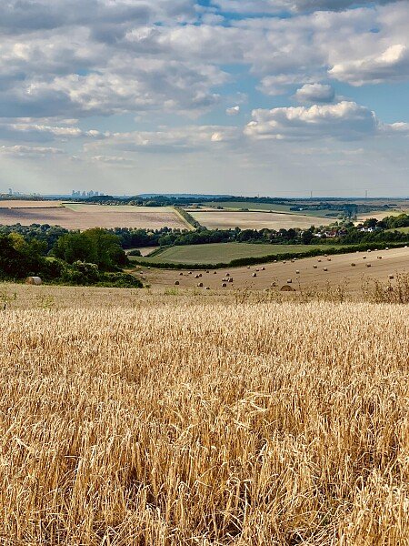 Lower Austin Lodge Farm exteriors31