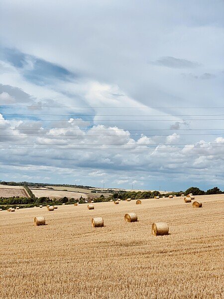 Lower Austin Lodge Farm exteriors24