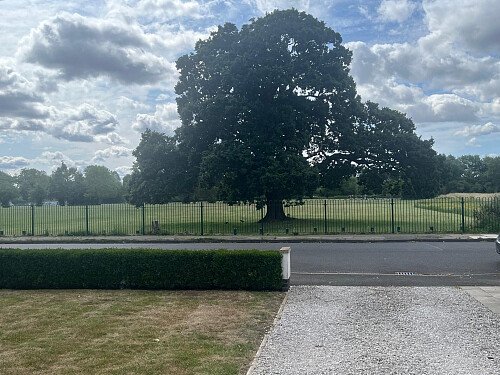 Image for Location 2454