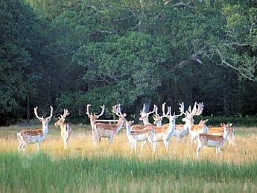 Image for Location 2456