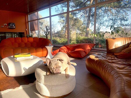 Timberlake LIVING ROOM 3