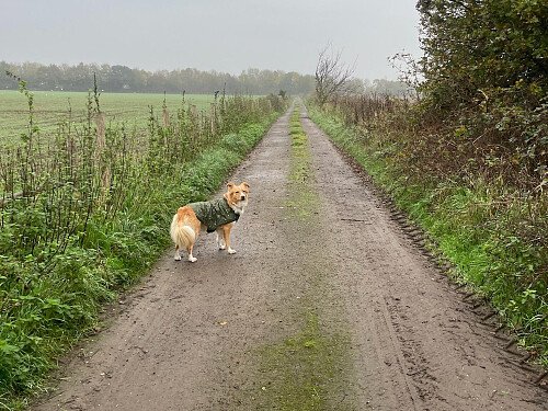 Image for Location 2490