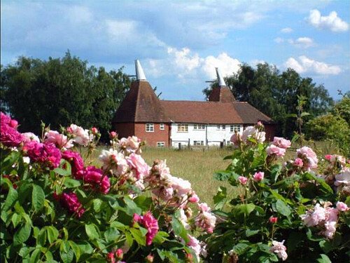 Image for Location 2490