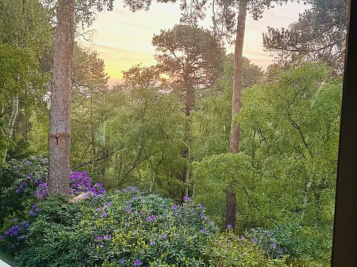 Timberlake BEDROOM VIEW lr