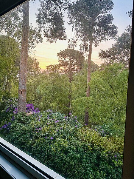 Timberlake BEDROOM VIEW lr