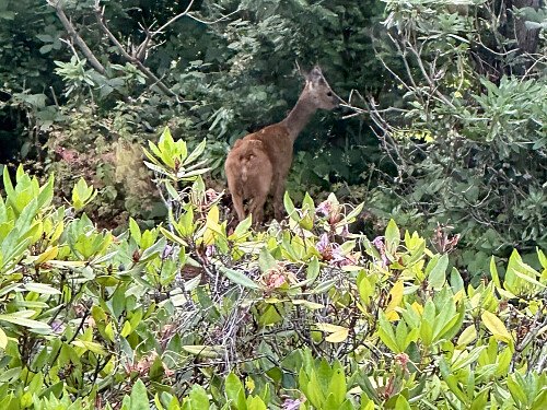 Image for Location 2478