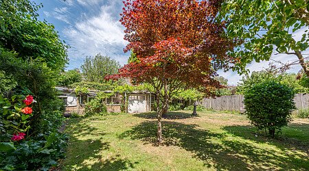 Location Creation Website 30: Brook Hotel: Garden  (2)