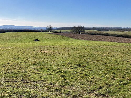 8CF6ED95-40CB-4379-A405-AC2862B64B39