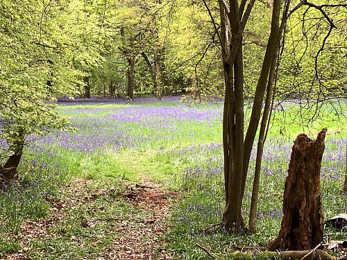 Image for Location 2531