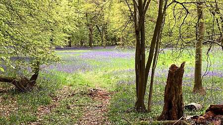 0B3C8DE3-27C3-4FDB-A0A3-D72417BEE0A0