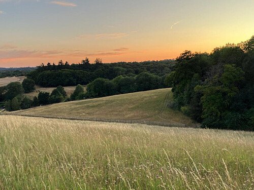 a2e829f0-ba16-4886-897c-678696250812