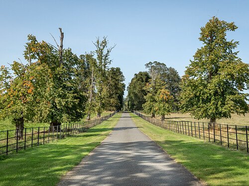 Image for Location 1921