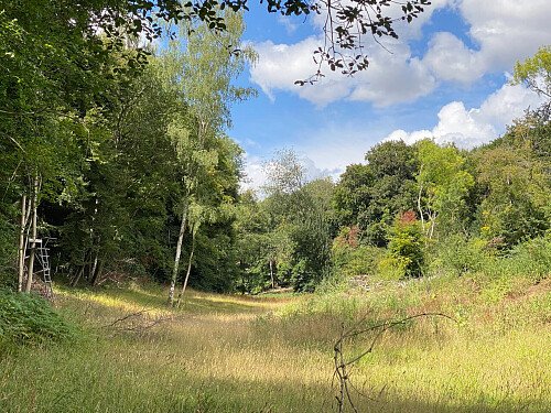 Image for Location 2531