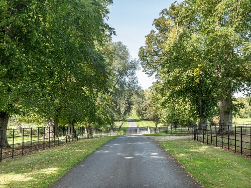 Image for Location 1921