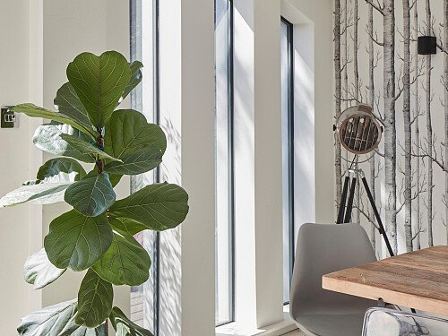 Image for Location 2539