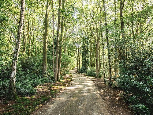 Image for Location 2568