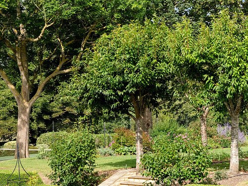 The Old Rectory PH-27