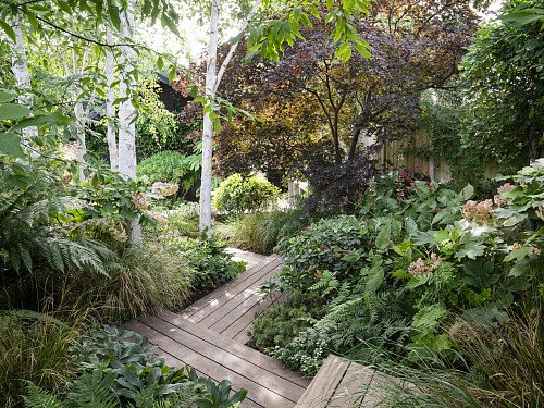 Image for Location 2595