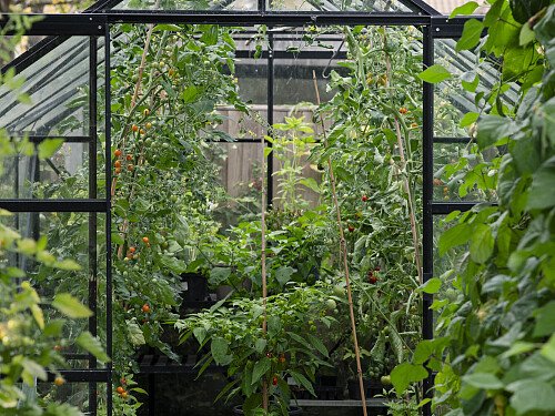 lulu_roper_caldbeck_home_garden-383