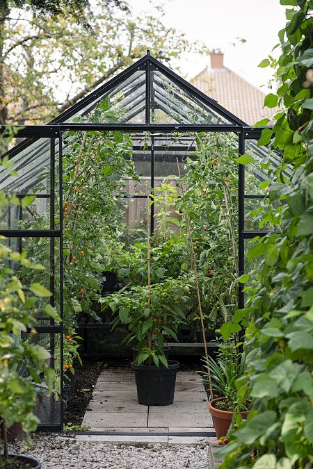 lulu_roper_caldbeck_home_garden-383