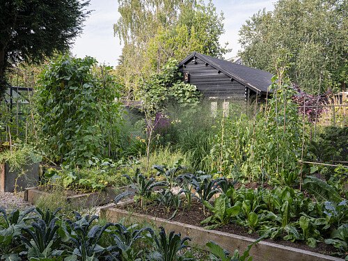 lulu_roper_caldbeck_home_garden-437