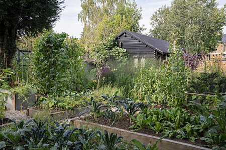 lulu_roper_caldbeck_home_garden-437