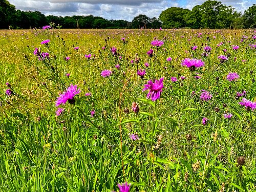 The Bothy Smithbrook Barns Cranleigh GU6 8LH -48