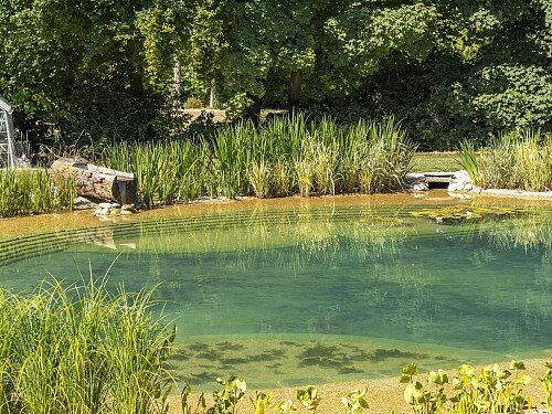 Image for Location 2617