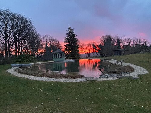 WhatsApp Image 2025-03-21 at 10.00.13_114f1b87