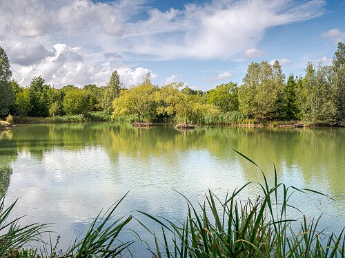 Location Creation:Essex barn:Lake3