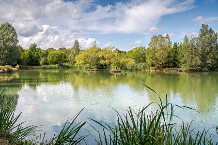Location Creation:Essex barn:Lake3