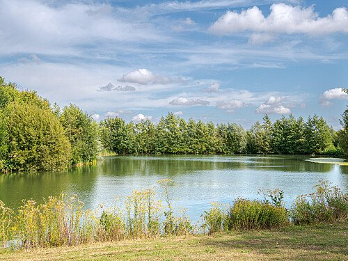 Location Creation:Essex barn:Lake4