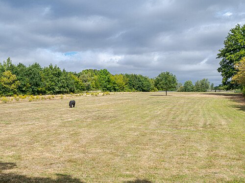 Image for Location 2621