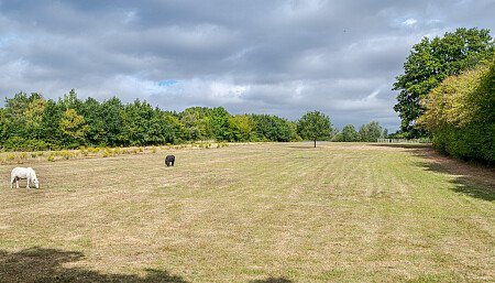 Location Creation:Essex barn:Padedock