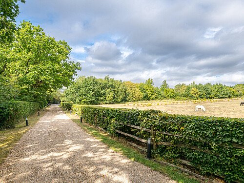 Location Creation:Essex barn:Ponies