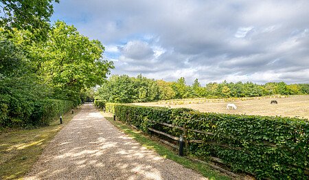 Location Creation:Essex barn:Ponies